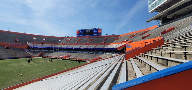 杯的胜利终 杯的胜利终