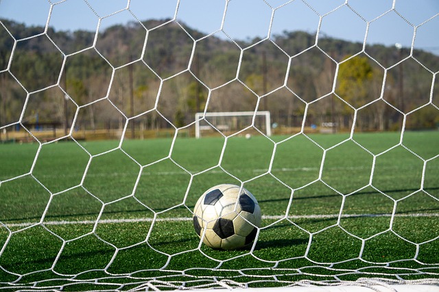 在下一个阶 在下一个阶