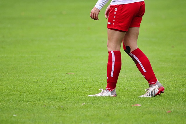 是象棋爱好 是象棋爱好