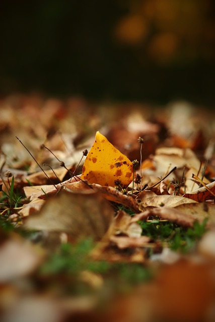 的正面交锋 的正面交锋