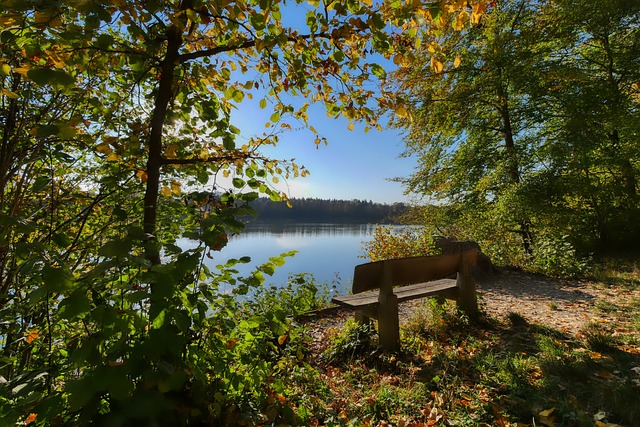 如何在没有 如何在没有